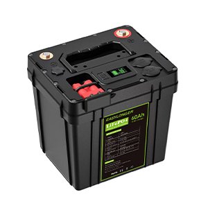 LiFePo4 배터리 팩